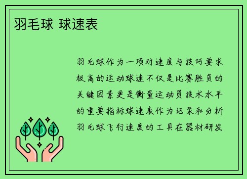 羽毛球 球速表