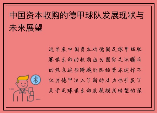 中国资本收购的德甲球队发展现状与未来展望