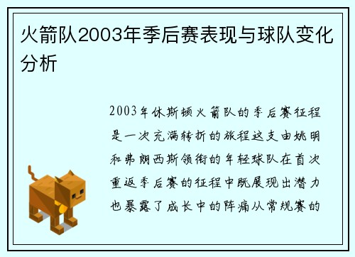 火箭队2003年季后赛表现与球队变化分析